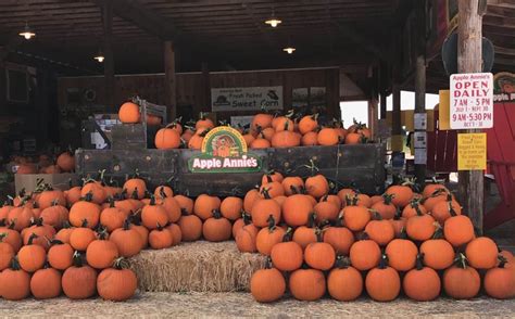 Apple annies - Visit Apple Annie's Fruit Orchards, Produce Farm, and Country store for some pick-your-own produce and farm fun this season. Weekly Crop Harvest | Pumpkin Patch: 520-384-2084; Apple Orchard: 520-384-2084; Country Store: 520-766-2084 | Willcox, AZ: